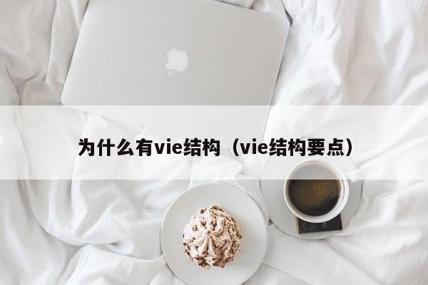为什么有vie结构（vie结构要点）