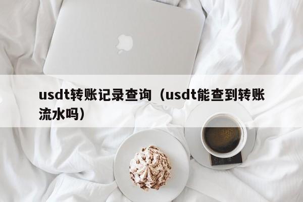 usdt转账记录查询（usdt能查到转账流水吗）